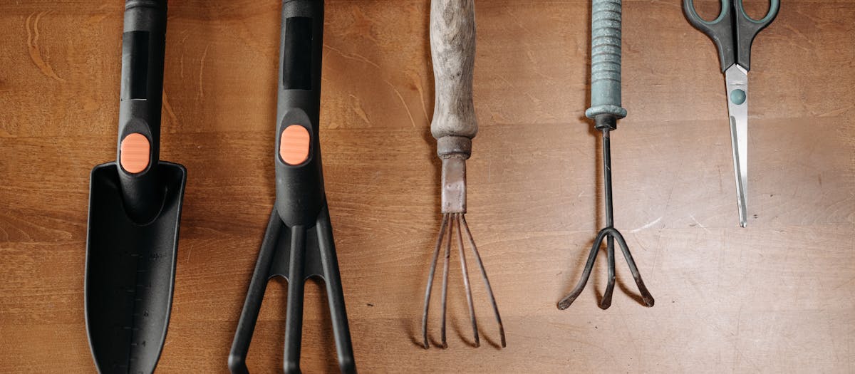 A collection of garden tools arranged on a wooden surface for easy plant care.